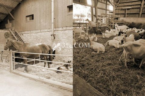 Farm i Preuseville, Seine-Maritime, Preuseville - € 182.000 | Ref: 421_V5120060578 - foto 2