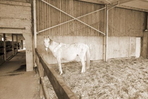 Farm i Preuseville, Seine-Maritime, Preuseville - € 182.000 | Ref: 421_V5120060578 - foto 19