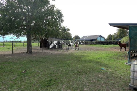 Farm i Preuseville, Seine-Maritime, Preuseville - € 182.000 | Ref: 421_V5120060578 - foto 22