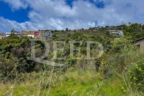 Terra a Gaula, Madeira, Gaula - € 70.000 | Ref: DEED/981 - foto 2