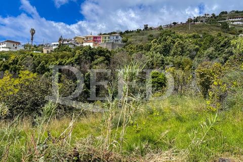 Terra a Gaula, Madeira, Gaula - € 70.000 | Ref: DEED/981 - foto 3