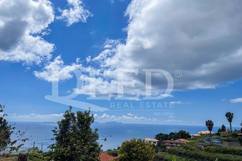 Terra a Gaula, Madeira, Gaula - € 70.000 | Ref: DEED/981 - foto 4