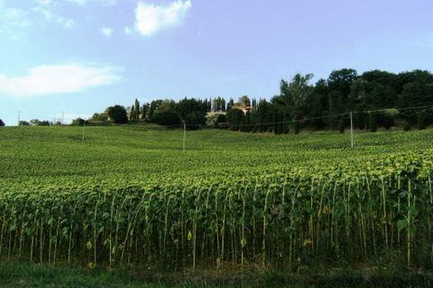 Farm hus i Cetona, Siena, Cetona - € 1.900.000 | Ref: a5153ta1847295a - foto 15