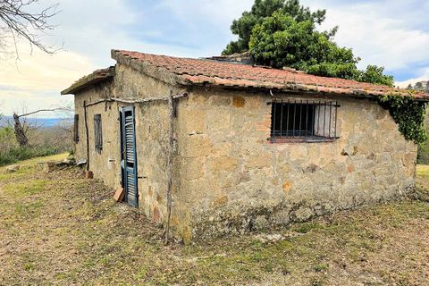 Landejendom i Roccastrada, Grosseto, Roccastrada - € 185.000 | Ref: 1628 - foto 16