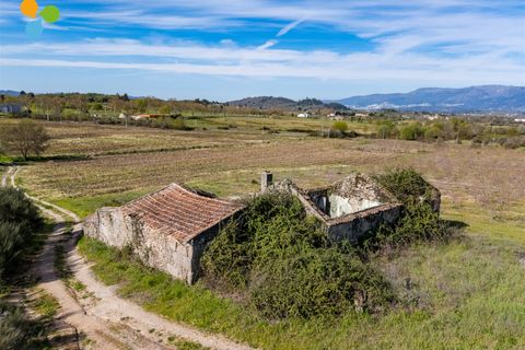 Gård i Belmonte, Castelo Branco, Belmonte - € 165 000 | Ref: C9589 - foto 2