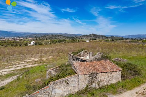 Gård i Belmonte, Castelo Branco, Belmonte - € 165 000 | Ref: C9589 - foto 3