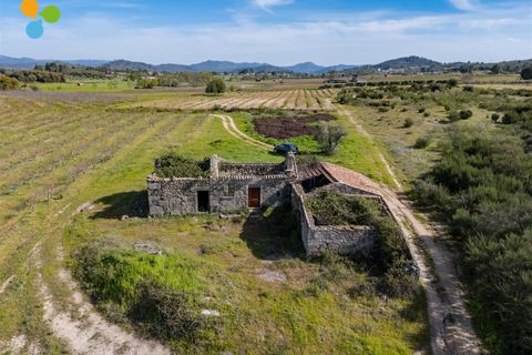 Gård i Belmonte, Castelo Branco, Belmonte - € 165 000 | Ref: C9589 - foto 4