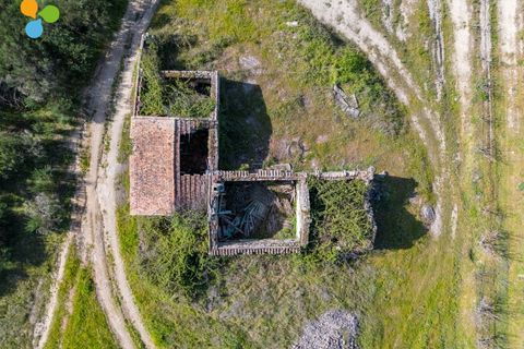 Gård i Belmonte, Castelo Branco, Belmonte - € 165 000 | Ref: C9589 - foto 5