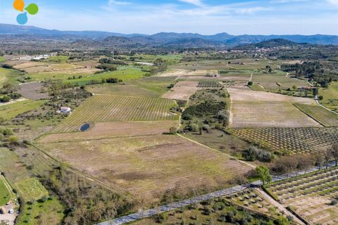 Gård i Belmonte, Castelo Branco, Belmonte - € 165 000 | Ref: C9589 - foto 7