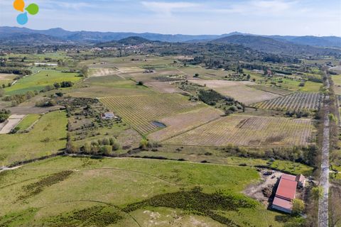 Gård i Belmonte, Castelo Branco, Belmonte - € 165 000 | Ref: C9589 - foto 8