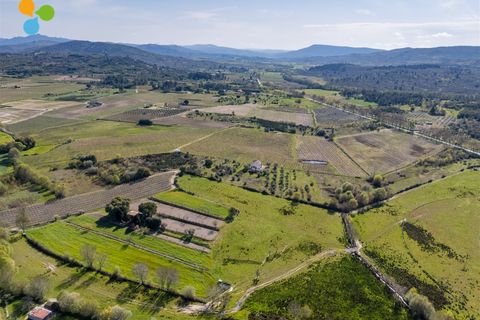 Gård i Belmonte, Castelo Branco, Belmonte - € 165 000 | Ref: C9589 - foto 10