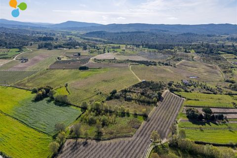 Gård i Belmonte, Castelo Branco, Belmonte - € 165 000 | Ref: C9589 - foto 12