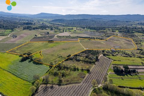 Gård i Belmonte, Castelo Branco, Belmonte - € 165 000 | Ref: C9589 - foto 13