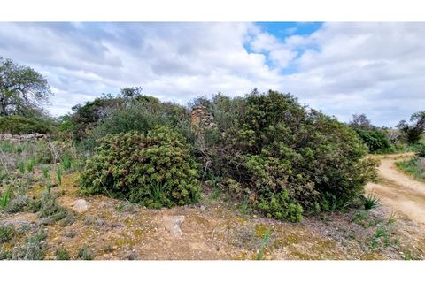 Terra a Paderne, Faro, Paderne - € 200.000 | Ref: City-25-27A - foto 3