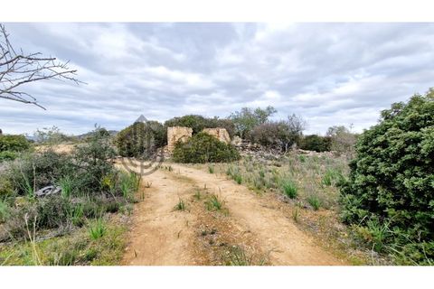 Terra a Paderne, Faro, Paderne - € 200.000 | Ref: City-25-27A - foto 10