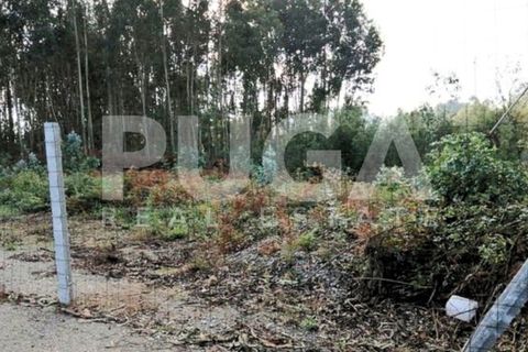 Helårsgrund i Sandim, Porto, Sandim - € 90.000 | Ref: PU-1003001 - foto 3