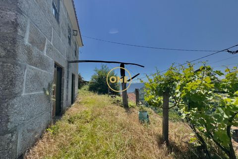 Landejendom i Baiao, Porto, Baiao - € 74.999 | Ref: ONE91448-19 - foto 11