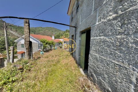 Landejendom i Baiao, Porto, Baiao - € 74.999 | Ref: ONE91448-19 - foto 12
