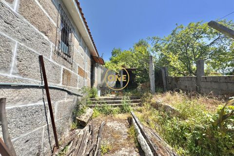 Landejendom i Baiao, Porto, Baiao - € 74.999 | Ref: ONE91448-19 - foto 13