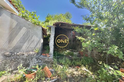 Landejendom i Baiao, Porto, Baiao - € 74.999 | Ref: ONE91448-19 - foto 15