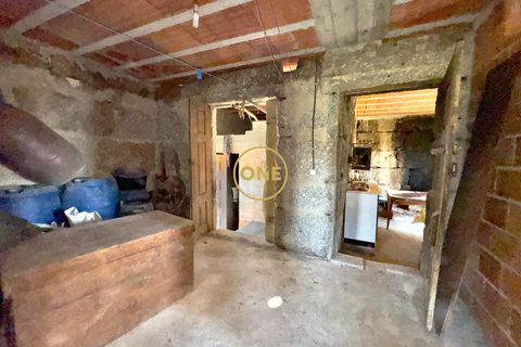 Landejendom i Baiao, Porto, Baiao - € 74.999 | Ref: ONE91448-19 - foto 26