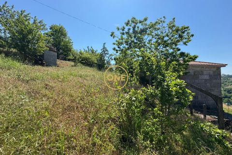 Landejendom i Baiao, Porto, Baiao - € 74.999 | Ref: ONE91448-19 - foto 29