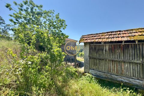 Landejendom i Baiao, Porto, Baiao - € 74.999 | Ref: ONE91448-19 - foto 34
