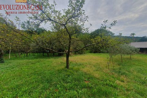 Villa i Sagrado, Gorizia, Sagrado - € 90.000 | Ref: 1536 - foto 3