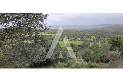 Helårsgrund i Paderne, Faro, Paderne - € 47.000 | Ref: 1230793/25VL - foto 2