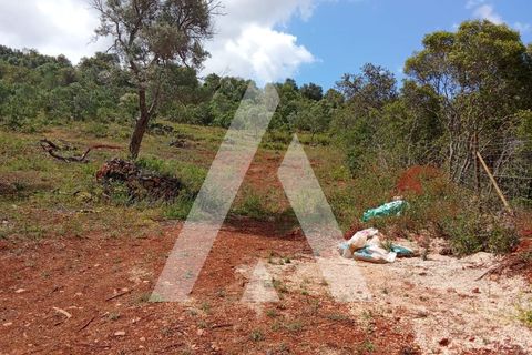 Helårsgrund i Paderne, Faro, Paderne - € 47.000 | Ref: 1230793/25VL - foto 4