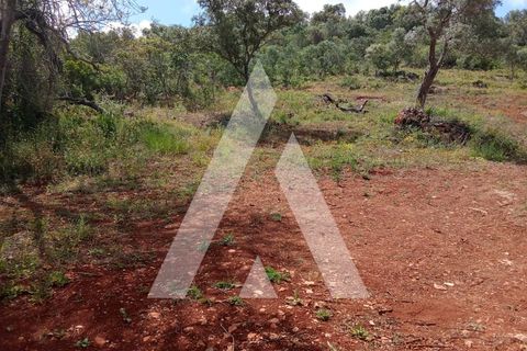 Helårsgrund i Paderne, Faro, Paderne - € 47.000 | Ref: 1230793/25VL - foto 5