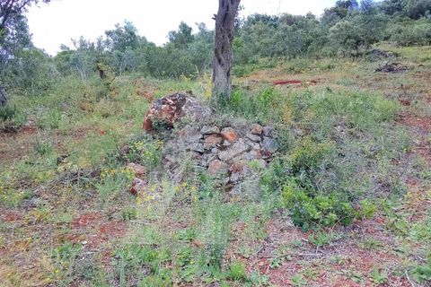 Helårsgrund i Paderne, Faro, Paderne - € 47.000 | Ref: 1230793/25VL - foto 6