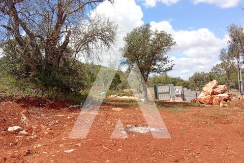 Helårsgrund i Paderne, Faro, Paderne - € 47.000 | Ref: 1230793/25VL - foto 7
