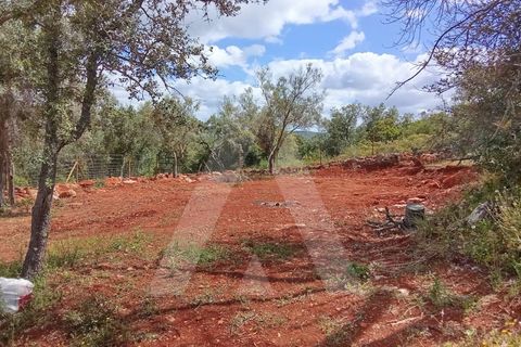 Helårsgrund i Paderne, Faro, Paderne - € 47.000 | Ref: 1230793/25VL - foto 11