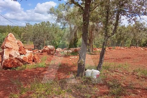 Helårsgrund i Paderne, Faro, Paderne - € 47.000 | Ref: 1230793/25VL - foto 14