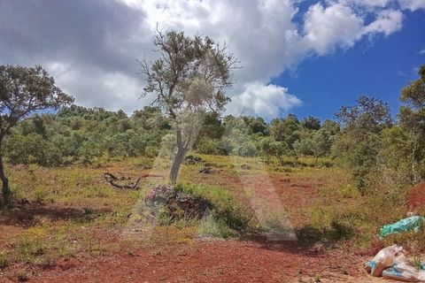 Helårsgrund i Paderne, Faro, Paderne - € 47.000 | Ref: 1230793/25VL - foto 15