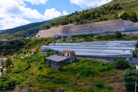 Villa i Ospedaletti, Imperia, Ospedaletti - € 800.000 | Ref: 13960 - foto 7