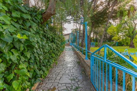 Erhvervsejendom i Bari, Bari, Bari - € 3.500.000 | Ref: 11945/2025 - foto 16