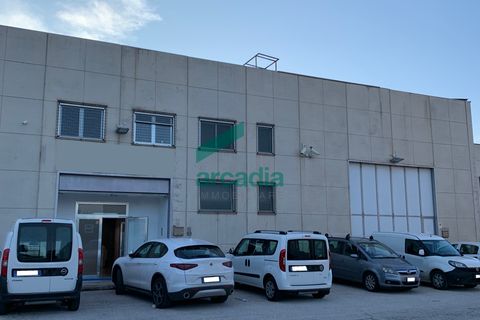 Erhvervsejendom i Modugno, Bari, Modugno - € 350.000 | Ref: 11862/2024 - foto 2