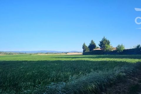 Terra a Cailhau, Aude, Cailhau - € 97.916 | Ref: 85936473 - foto 2