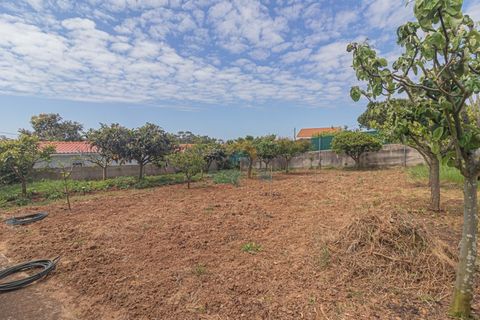 Villa i Mafra, Lisbon, Mafra - € 980.000 | Ref: 738MD - foto 3