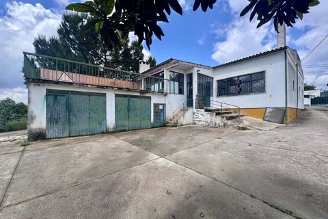 Erhvervsejendom i Tomar, Santarem, Tomar - € 200.000 | Ref: TL008 - foto 2