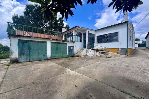 Erhvervsejendom i Tomar, Santarem, Tomar - € 200.000 | Ref: TL008 - foto 27