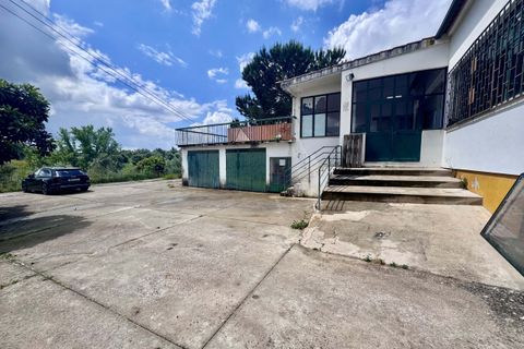 Erhvervsejendom i Tomar, Santarem, Tomar - € 200.000 | Ref: TL008 - foto 28