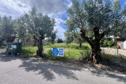 Helårsgrund i Tomar, Santarem, Tomar - € 40.000 | Ref: TL014 - foto 1