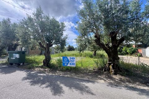 Helårsgrund i Tomar, Santarem, Tomar - € 40.000 | Ref: TL014 - foto 2
