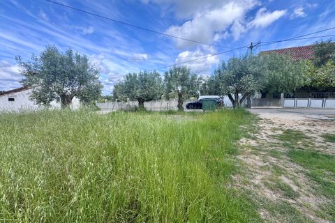 Helårsgrund i Tomar, Santarem, Tomar - € 40.000 | Ref: TL014 - foto 3