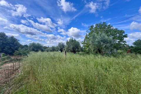 Helårsgrund i Tomar, Santarem, Tomar - € 40.000 | Ref: TL014 - foto 4