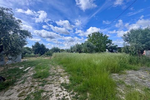 Helårsgrund i Tomar, Santarem, Tomar - € 40.000 | Ref: TL014 - foto 5