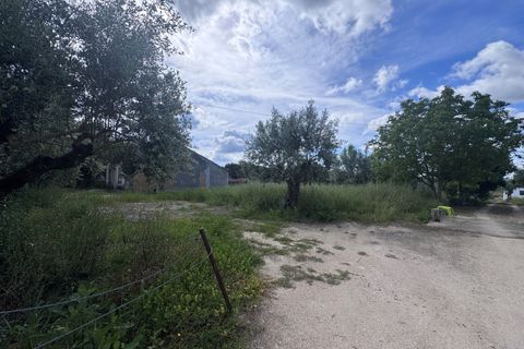 Helårsgrund i Tomar, Santarem, Tomar - € 40.000 | Ref: TL014 - foto 6